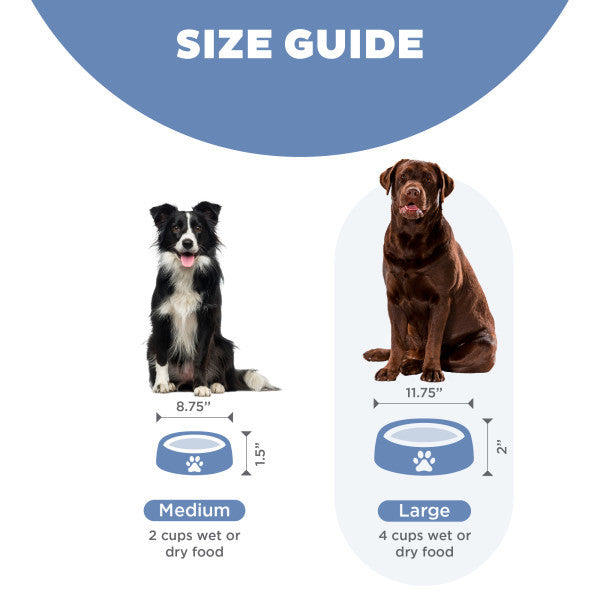 Outward Hound Fun Feeder Slo-Bowl Blue Medium