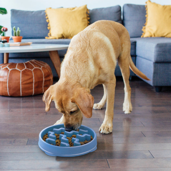 Outward Hound Fun Feeder Slo-Bowl Blue Medium