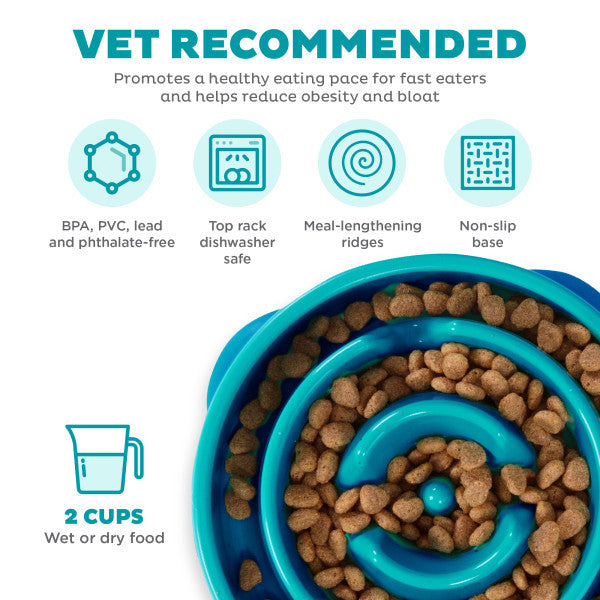 Outward Hound Fun Feeder Slo-Bowl Drop Teal Medium