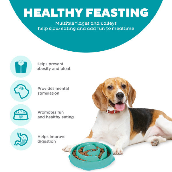 Outward Hound Fun Feeder Slo-Bowl Drop Teal Medium