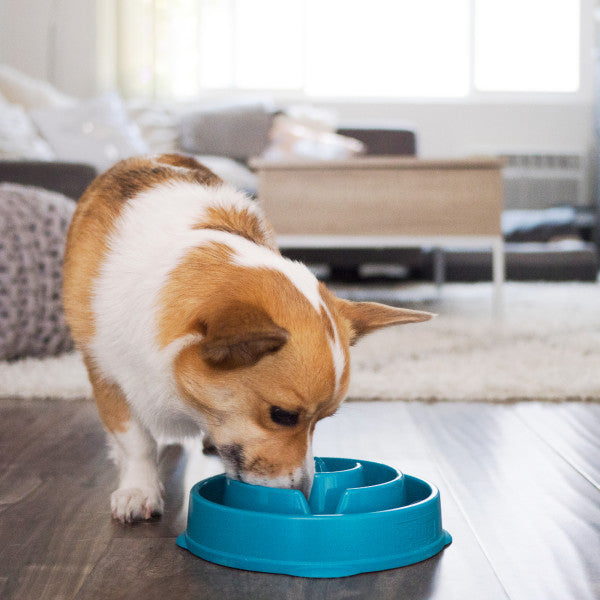 Outward Hound Fun Feeder Slo-Bowl Drop Teal Medium