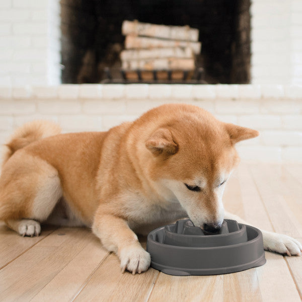 Outward Hound Fun Feeder Slo-Bowl Grey Medium