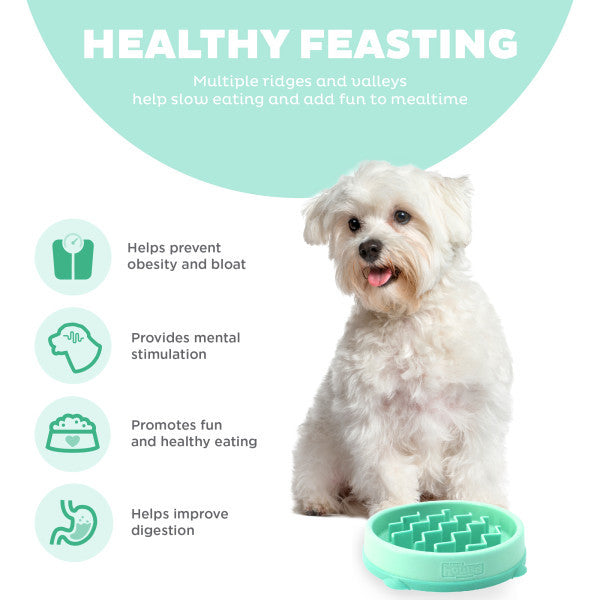 Outward Hound Fun Feeder Slo-Bowl Mint Small
