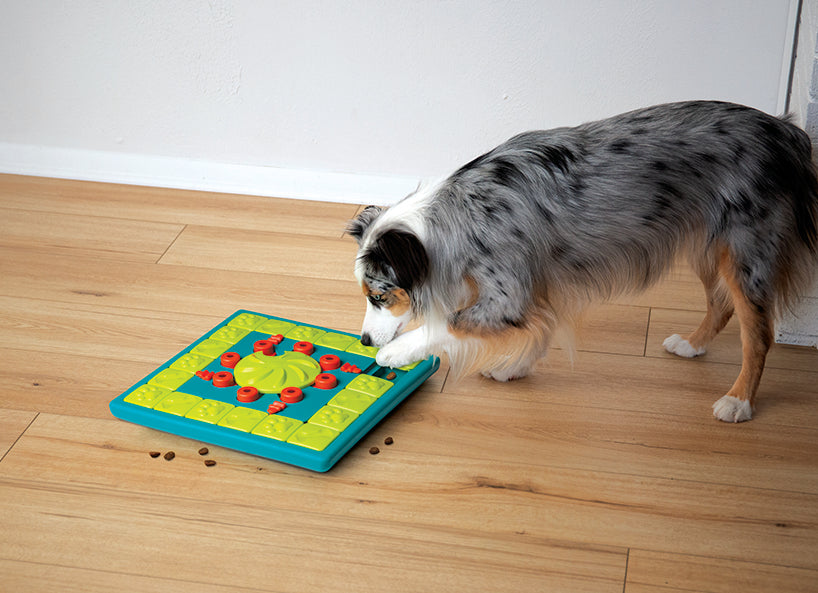 Outward Hound Multipuzzle Blue