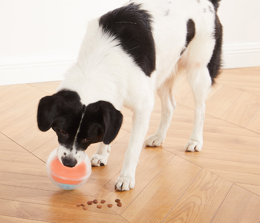 Outward Hound Topsy Treat Ball
