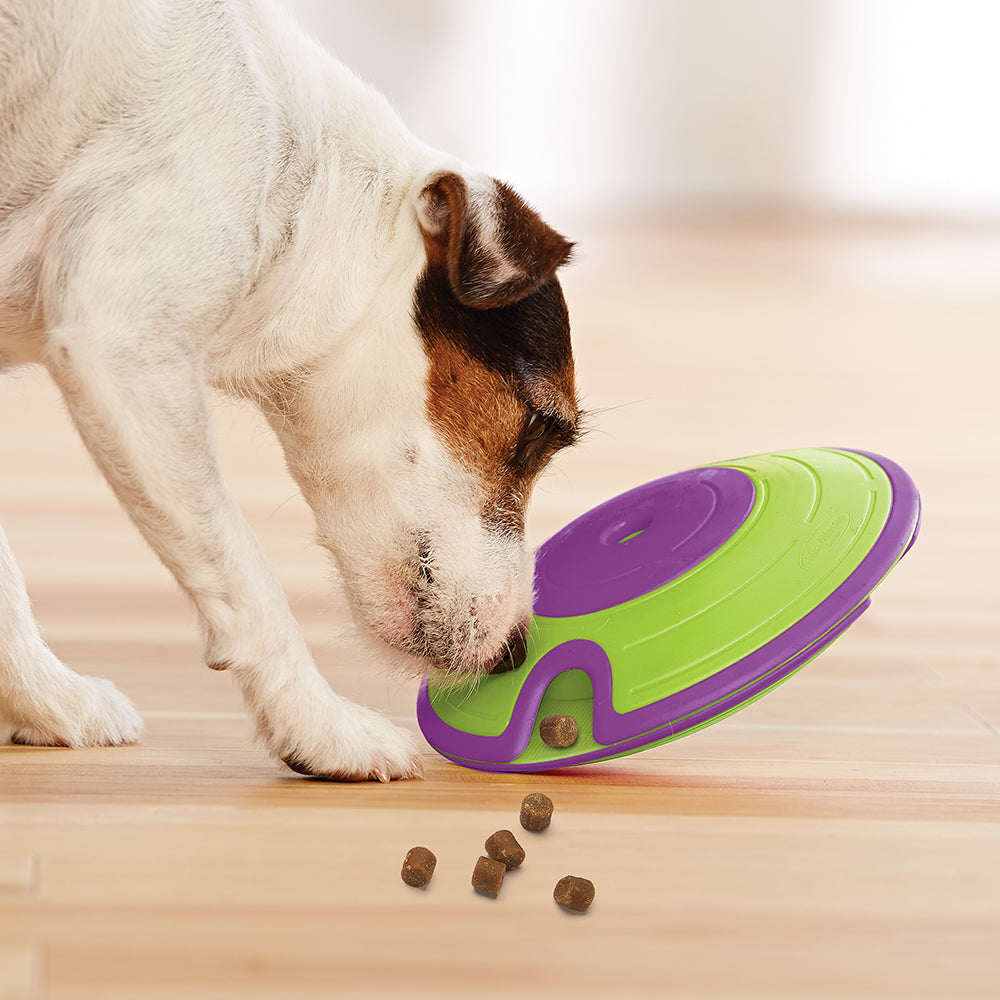 Outward Hound Treat Maze Green & Purple Puzzle