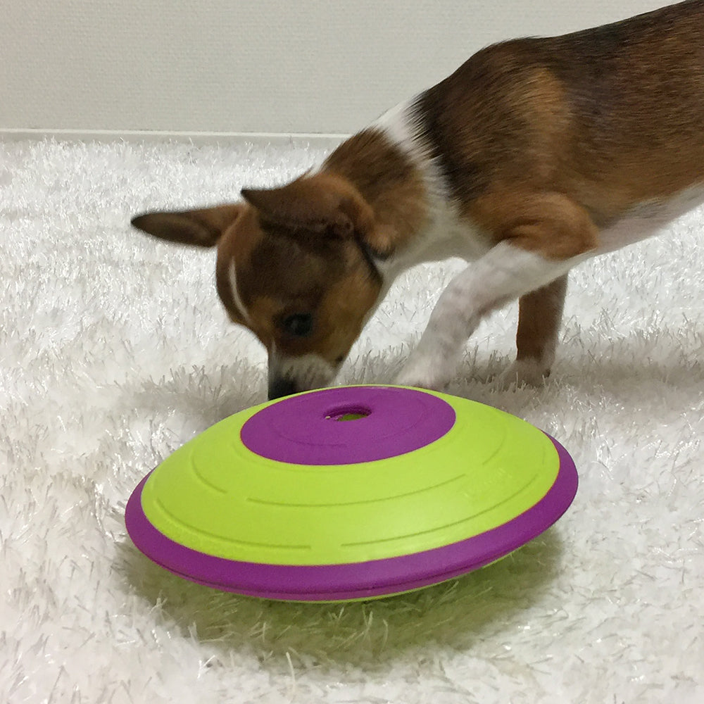 Outward Hound Treat Maze Green & Purple Puzzle