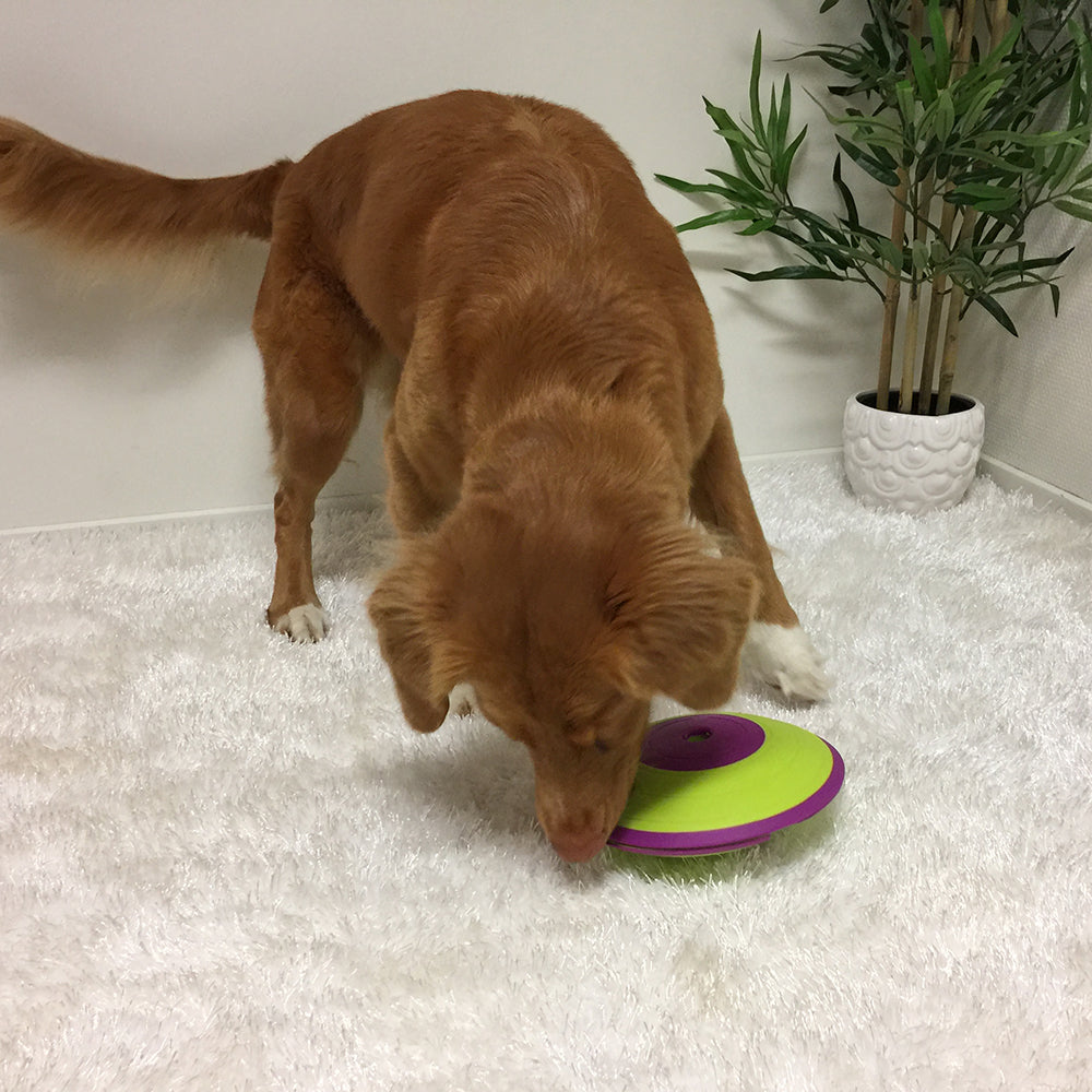 Outward Hound Treat Maze Green & Purple Puzzle