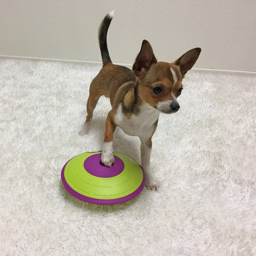 Outward Hound Treat Maze Green & Purple Puzzle