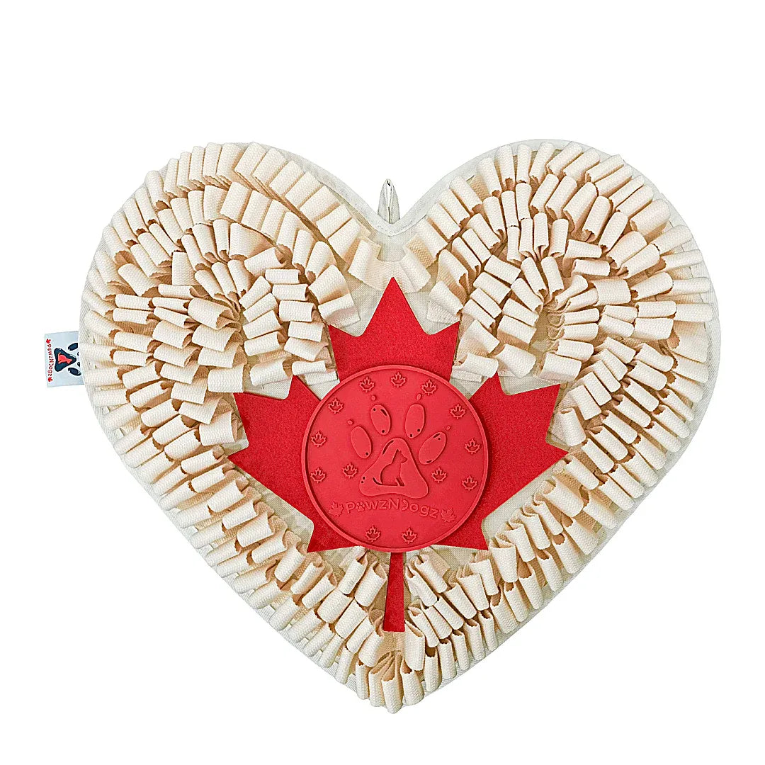 Pawzndogz Snuffle Mat Boundless Love