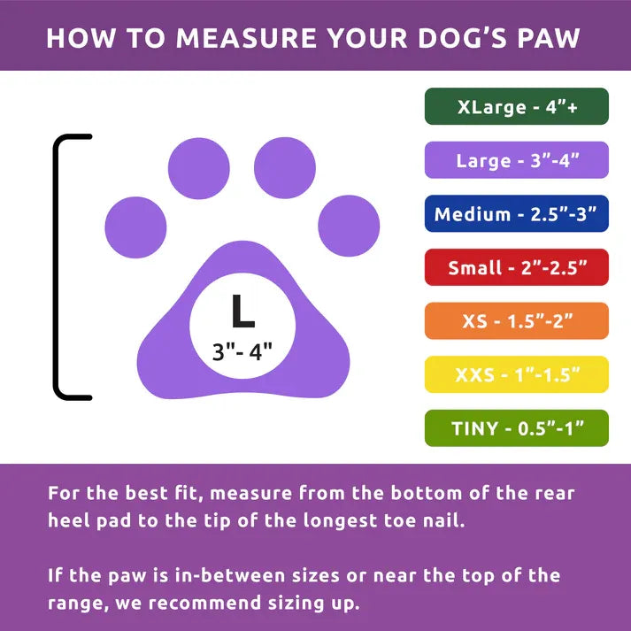 Pawz Disposable Boots Large 4" Purple 12Pk