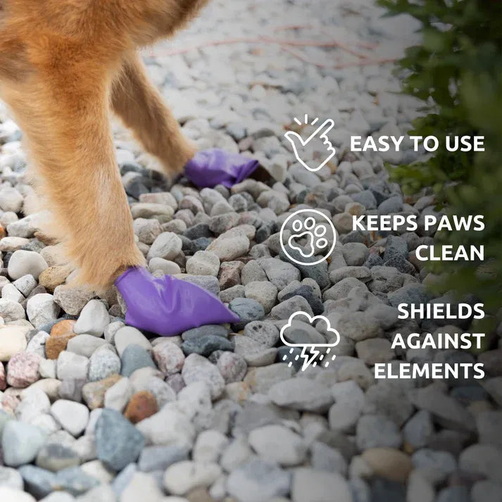 Pawz Disposable Boots Medium 3" Black 12Pk