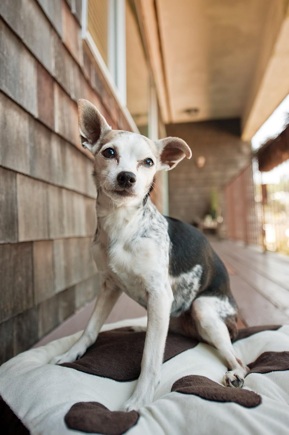 Play Big Foot Pillow Bed Medium