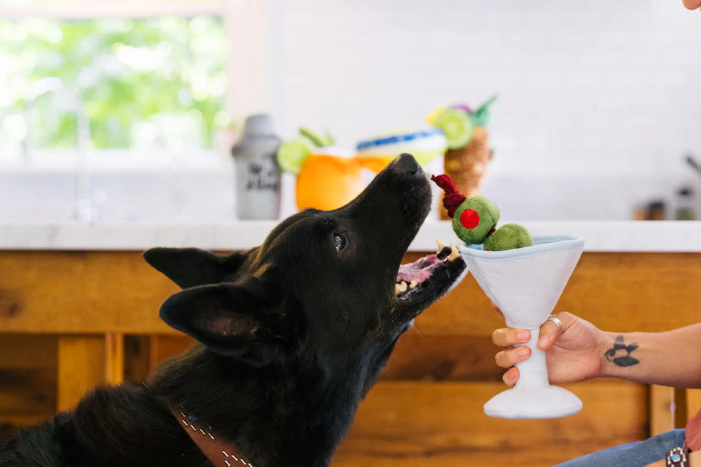 PLAY Barktender Pawtini