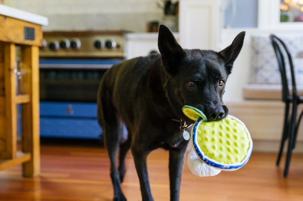 PLAY Barktender Pup-Arita