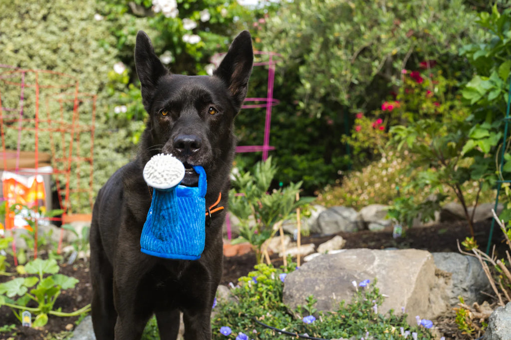 PLAY Blooming Buddies Wagging Watering Can