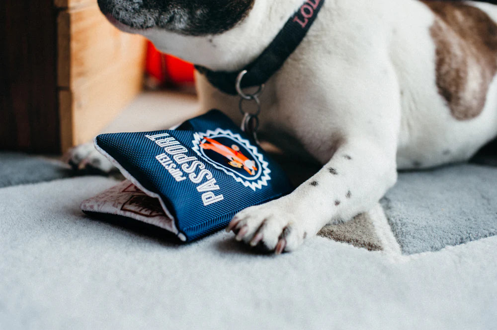 PLAY Globe Trotter Pupster Passport