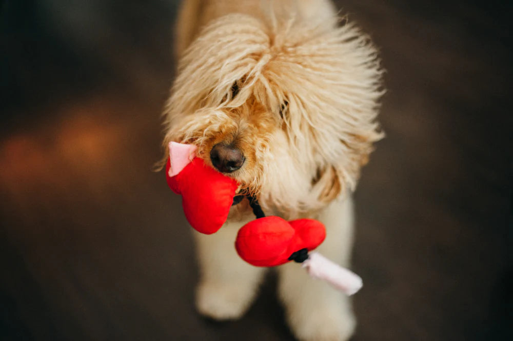 PLAY Puppy Love Fur-Ever Hearts