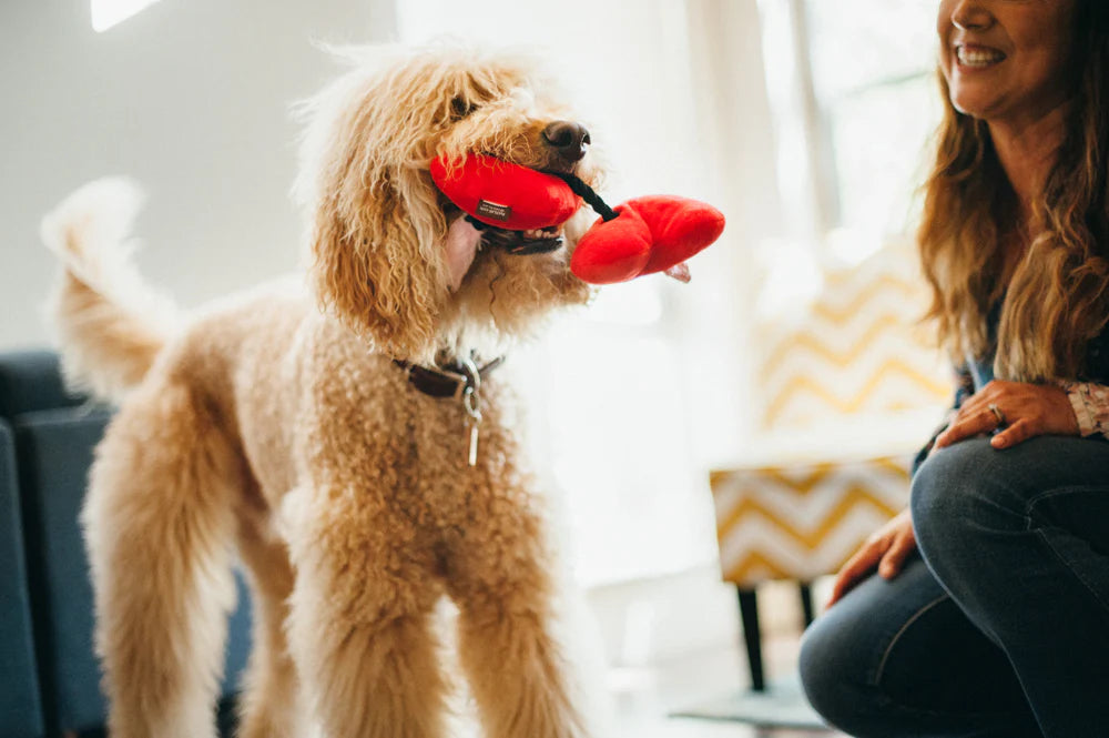 PLAY Puppy Love Fur-Ever Hearts