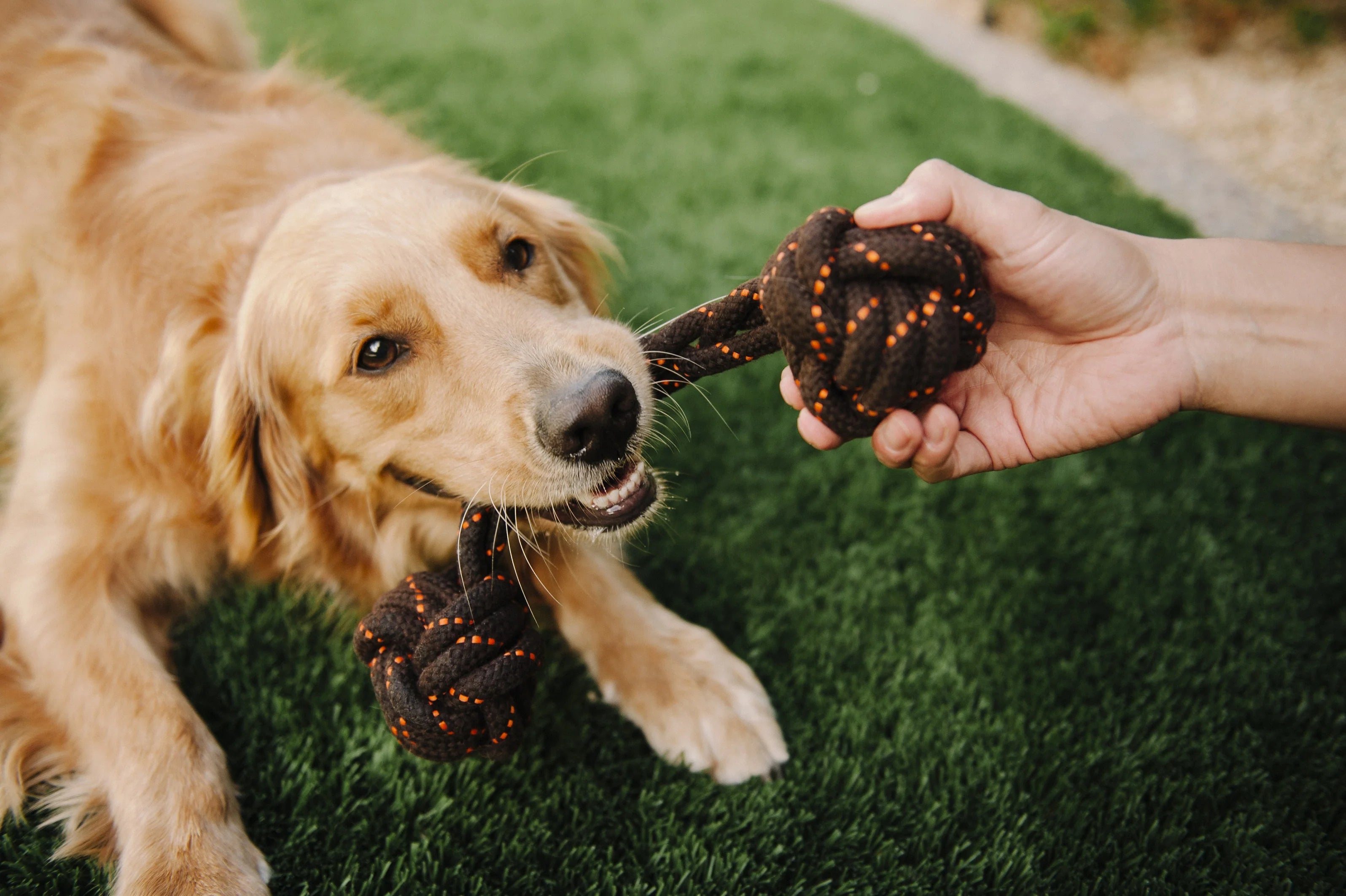 PLAY Scout & About Barbell Rope Toy Large