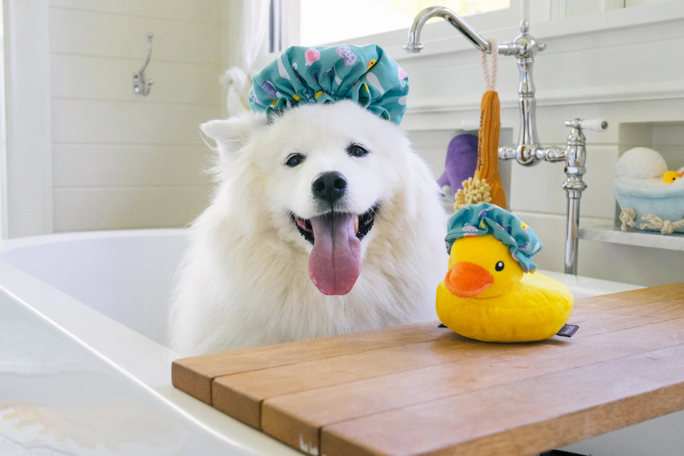 PLAY Splish Splash Shower Quack