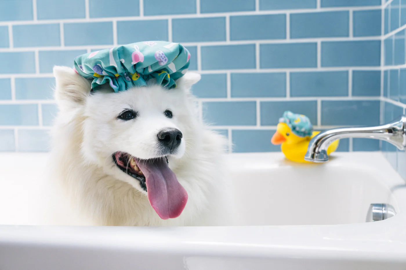 PLAY Splish Splash Shower Quack