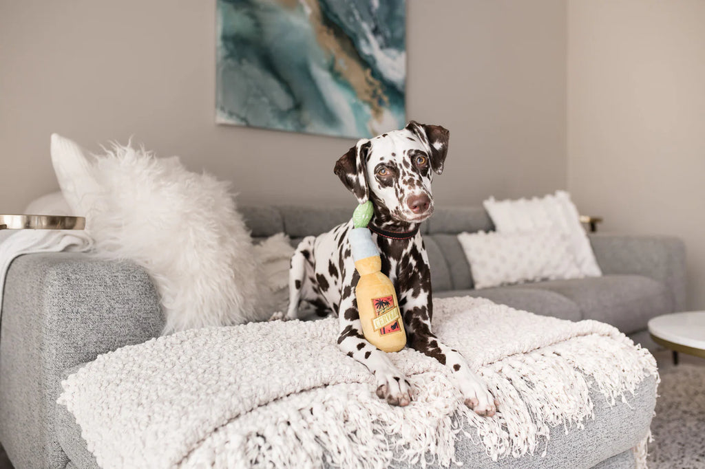 PLAY Tropical Paradise Canine Cerveza