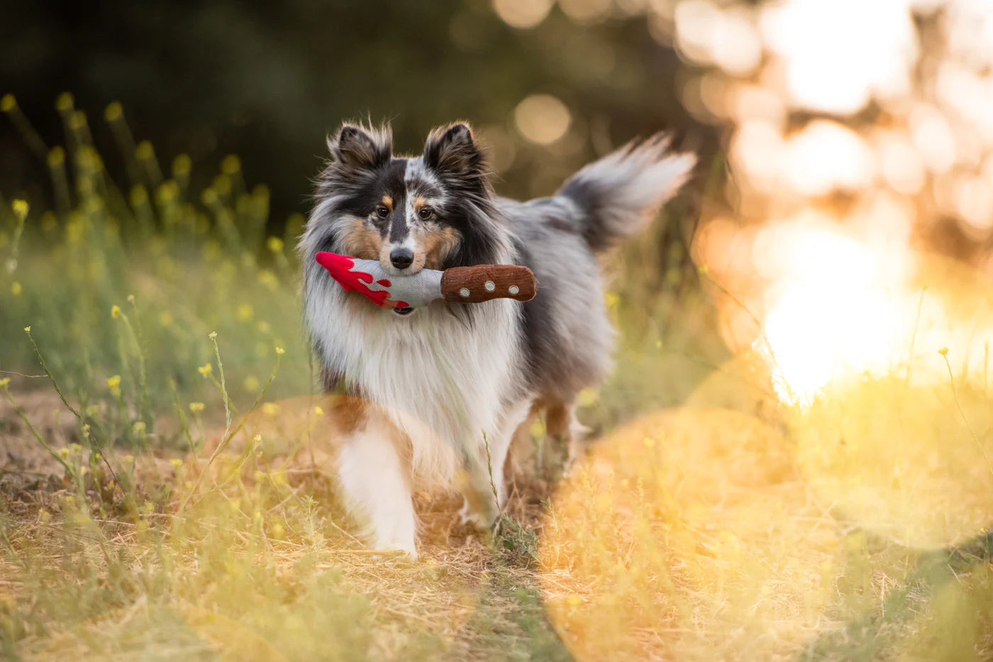 PLAY Howling Haunts Doggy Dagger