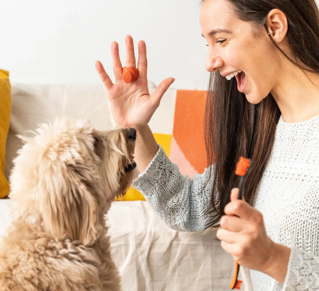 Paw Ready Brushmate Premium Toothbrush With Bite Block Small