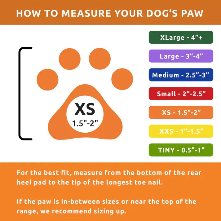 Pawz Disposable Boots X-Small 2" Black 12Pk