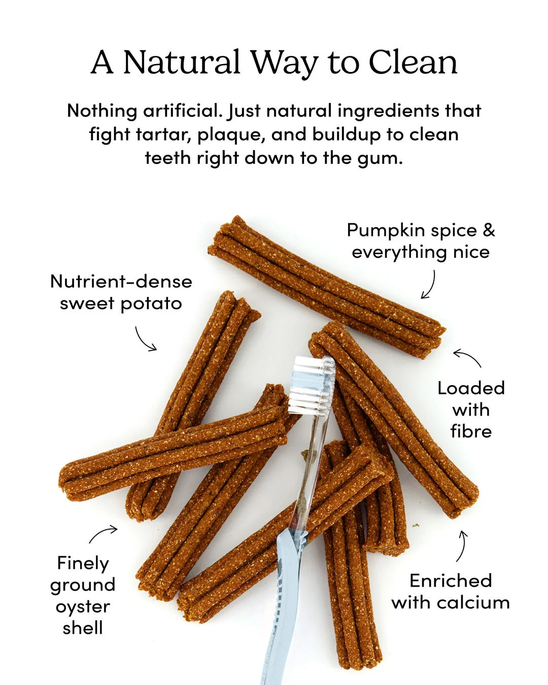 Crumps Plaque Busters Pumpkin Spice 7" 10pk 9.5oz/270g
