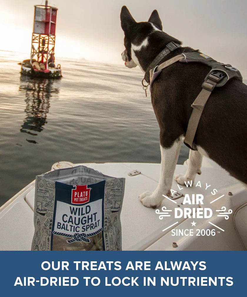 Plato Wild Caught Baltic Sprat 3Oz/85G