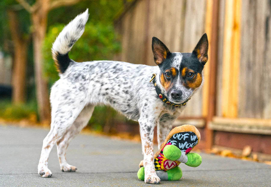 PLAY 90'S Classics Kickflipplin' K9