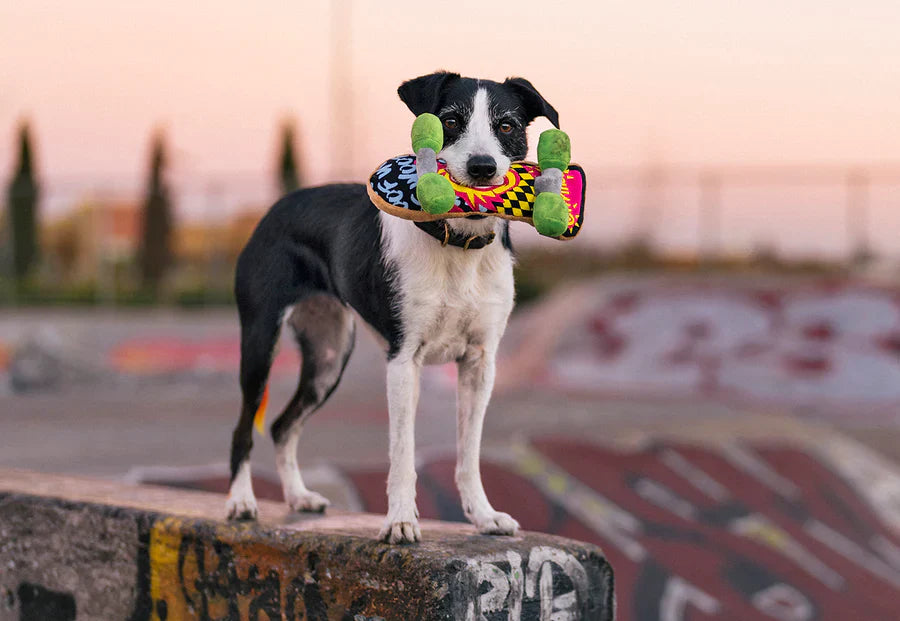 PLAY 90'S Classics Kickflipplin' K9