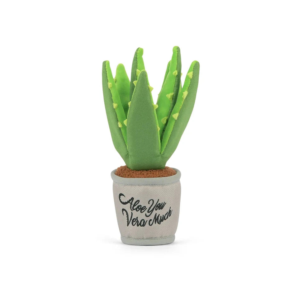 PLAY Blooming Buddies Aloe-Ve You Plant