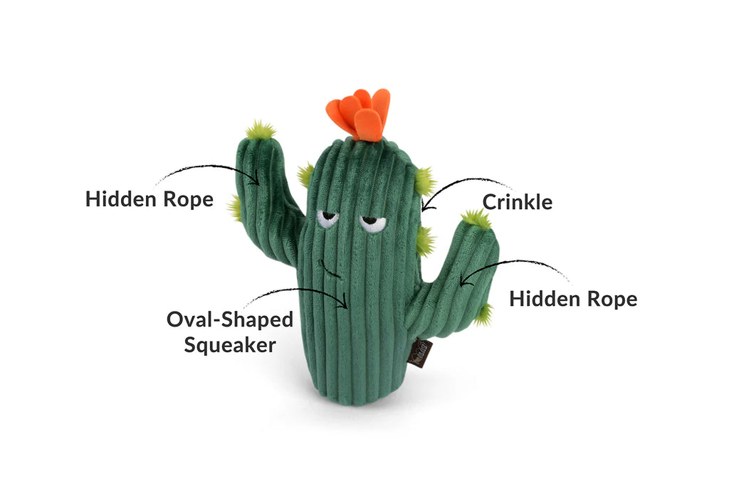 PLAY Blooming Buddies Prickly Pup Cactus