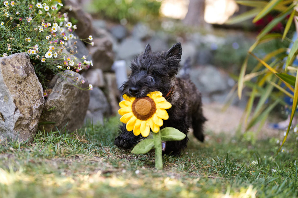PLAY Blooming Buddies Sassy Sunflower