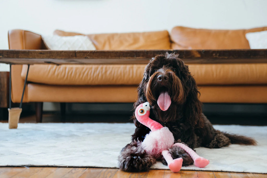 PLAY Fetching Flock Flora The Flamingo