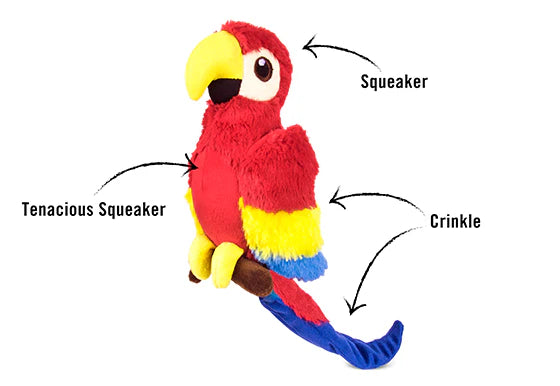 PLAY Fetching Flock Paula The Parrot