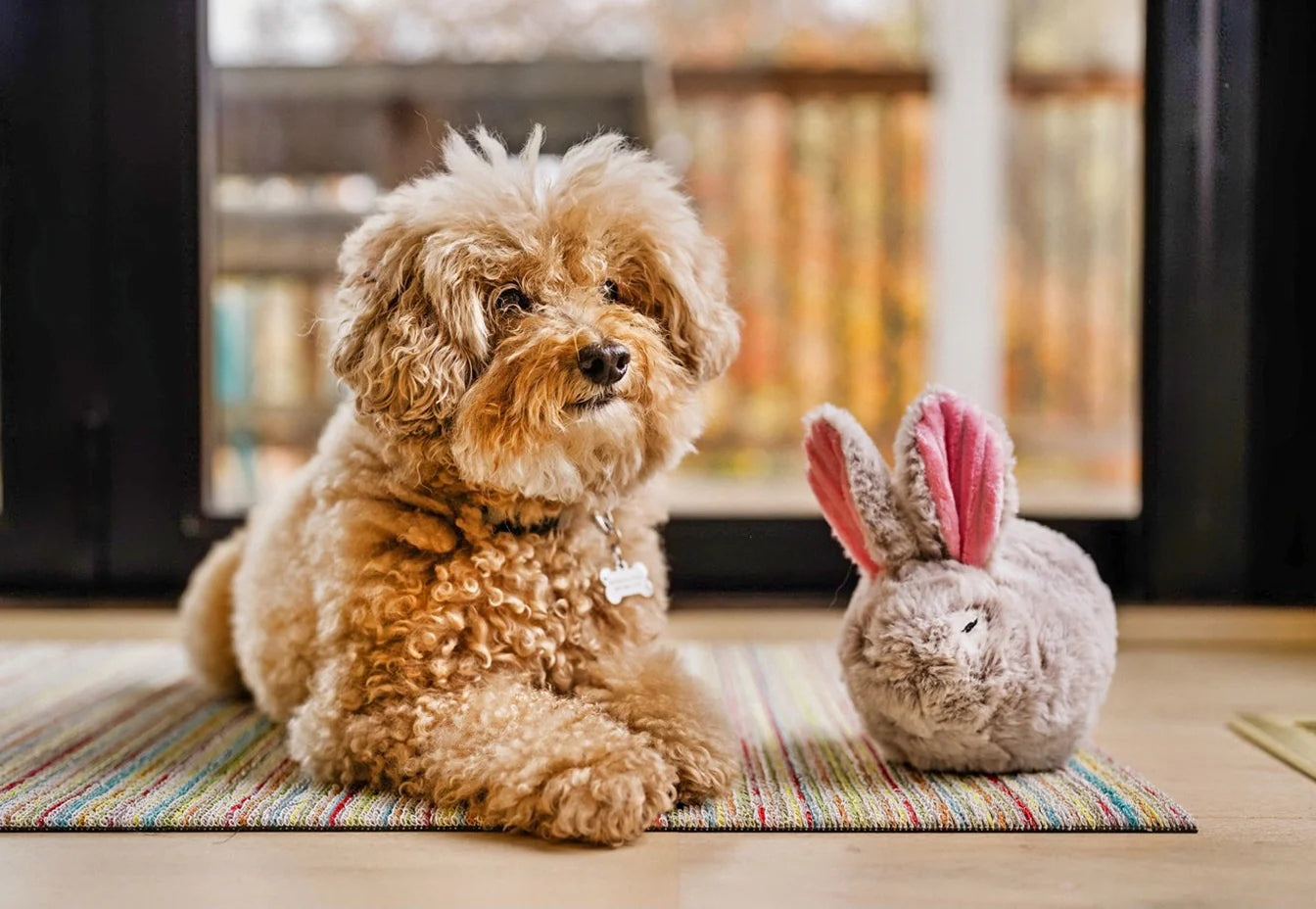 PLAY Forest Friends Baxter The Bunny