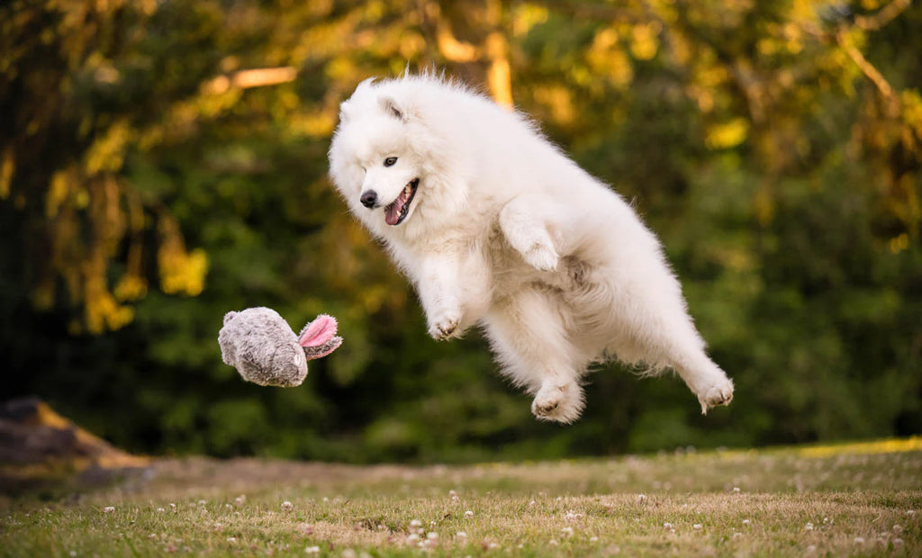 PLAY Forest Friends Baxter The Bunny