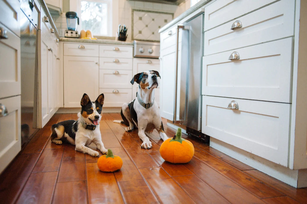 PLAY Garden Fresh Pumpkin Mini