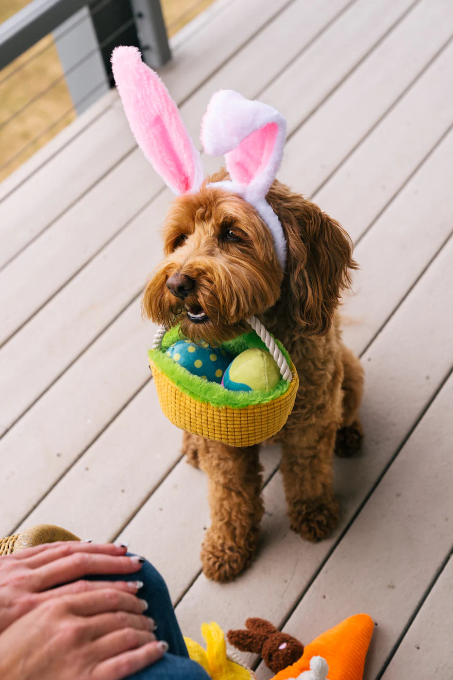 PLAY Hippity Hoppity Eggs-Cellent Basket