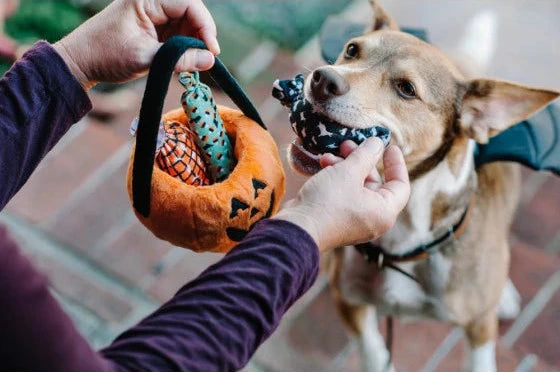 PLAY Howl-O-Ween Treat Basket