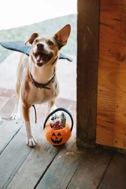 PLAY Howl-O-Ween Treat Basket