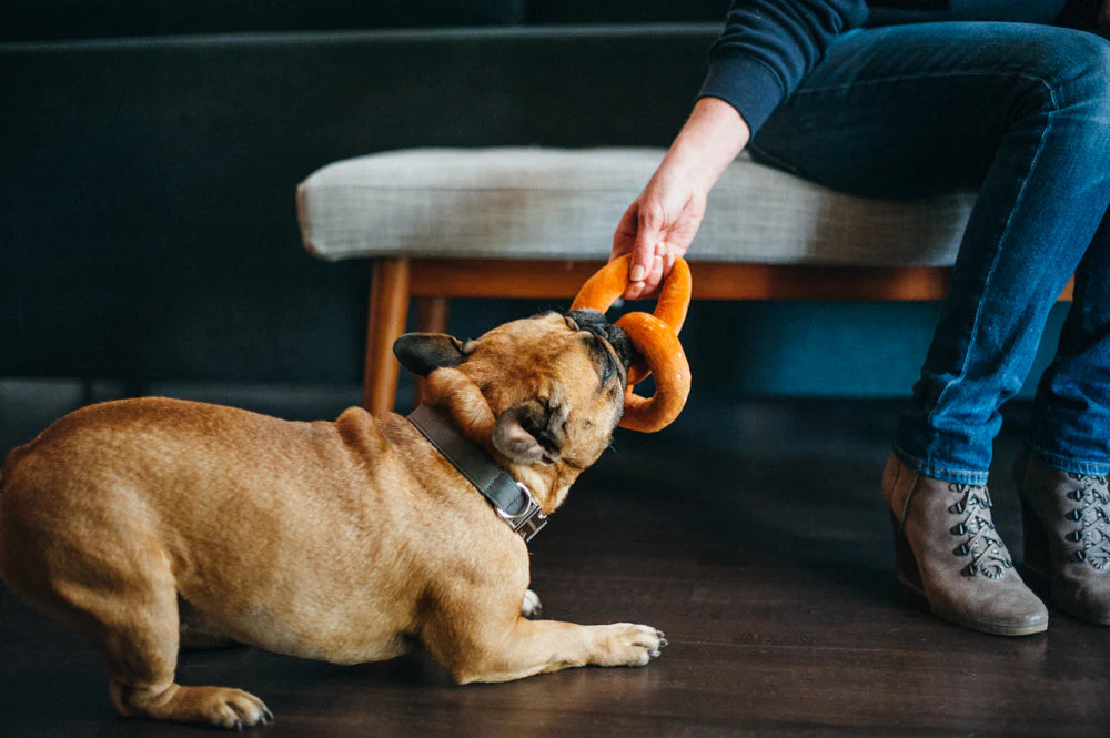 PLAY International Classic Poochie Pretzel