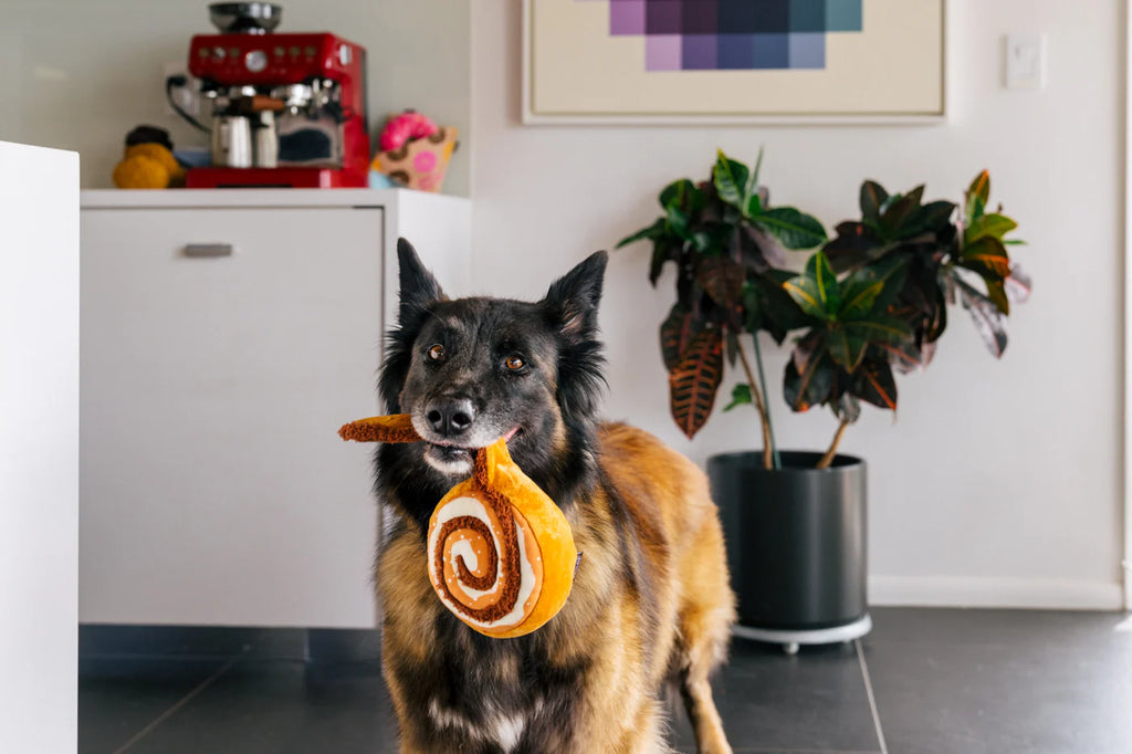 PLAY Pup Cup Cafe Cinna-Bone Medium