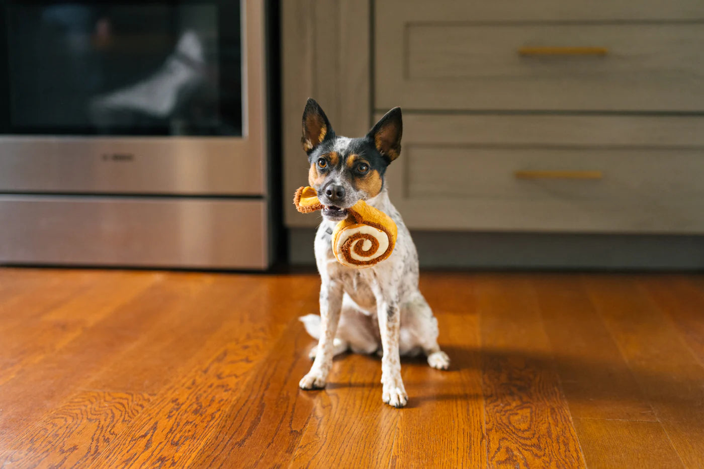 PLAY Pup Cup Cafe Cinna-Bone Medium