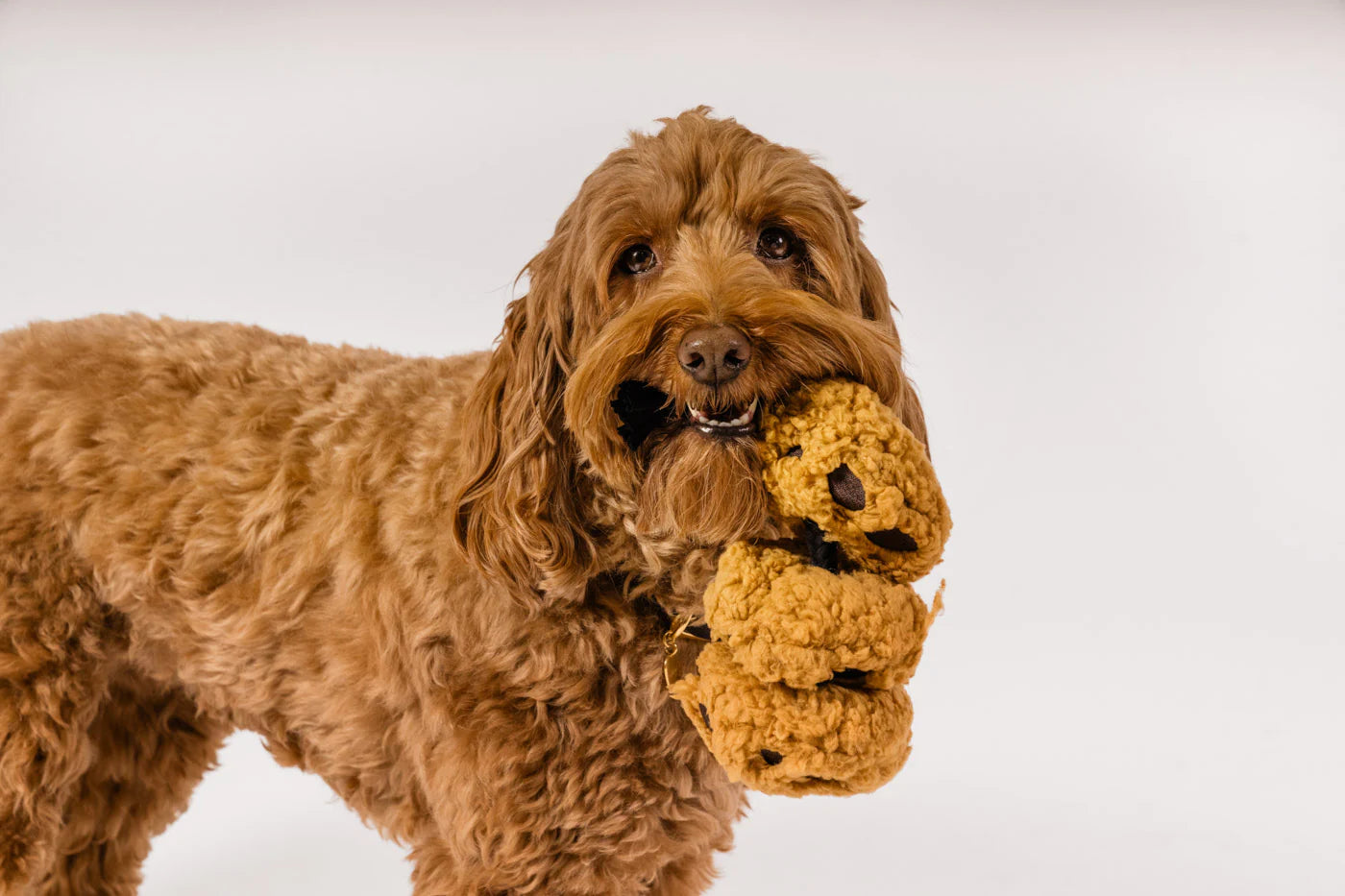 PLAY Pup Cup Cafe Cookies N' Treats Medium