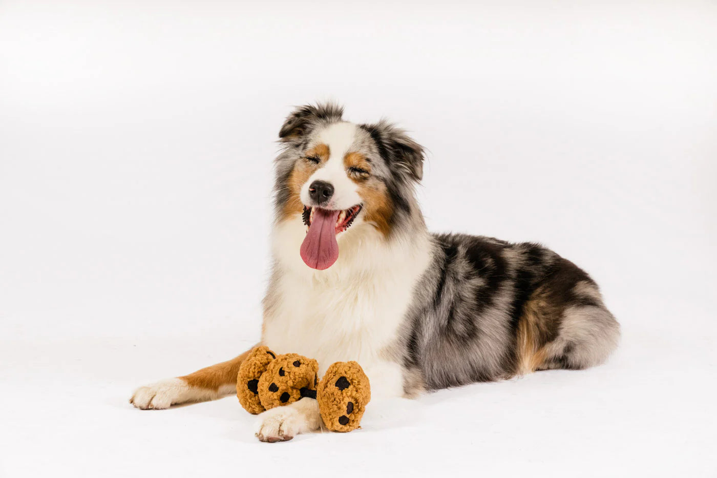 PLAY Pup Cup Cafe Cookies N' Treats Medium